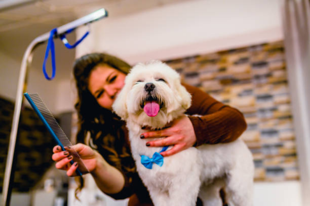 dog grooming perth