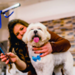 dog grooming perth