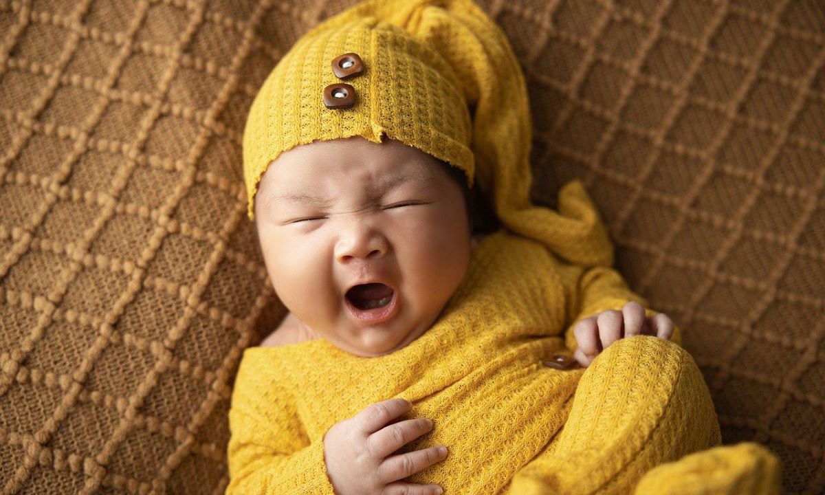 IVF Australia